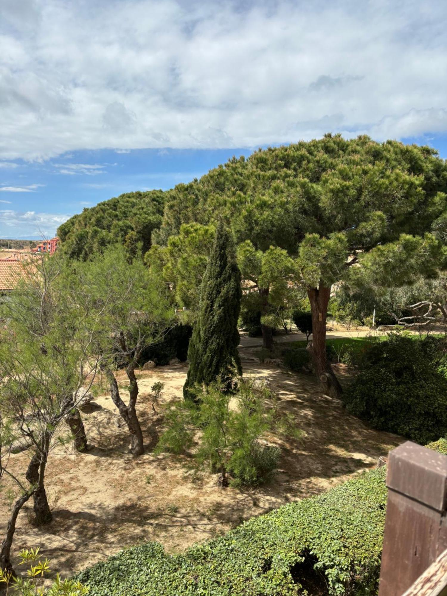 Appartement T2 tout équipé Leucate Esterno foto