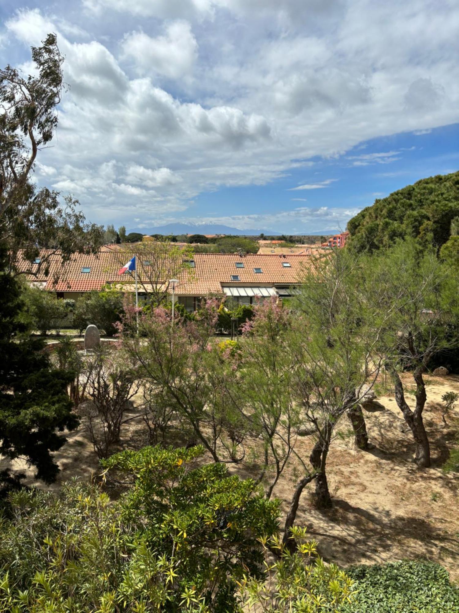 Appartement T2 tout équipé Leucate Esterno foto